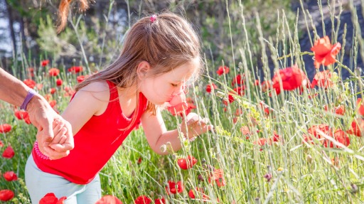 Giochi sensoriali per bambini: le attività che stimolano l'olfatto
